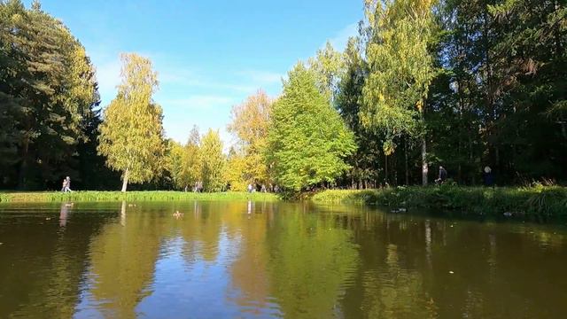 Лодочная прогулка по прудам Павловского парка под живой джаз смотреть онлайн