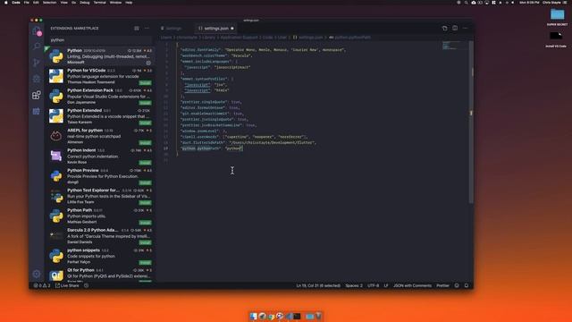 Setup Python For Visual Studio Code - macOS (2020) смотреть онлайн