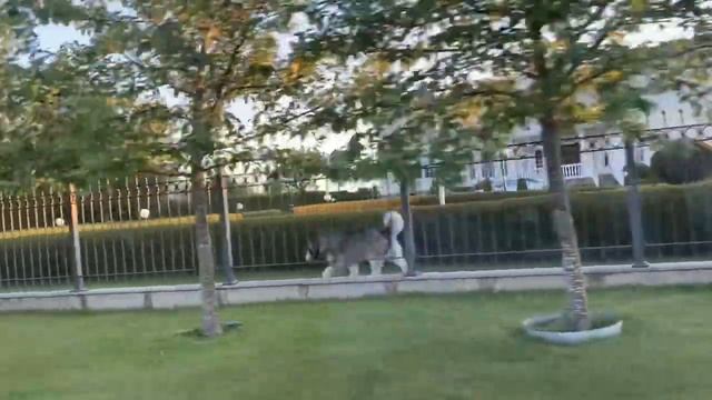 VLOG /Белые ночи в Эстонии/Поездка к морю смотреть онлайн