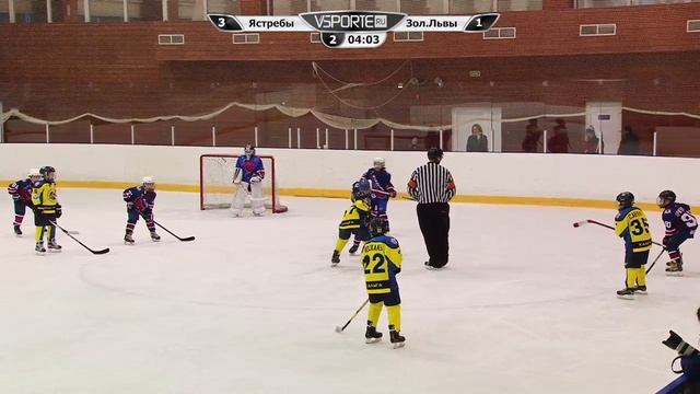 Ястребы (Москва) - Золотые Львы (Калуга) смотреть онлайн