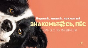 Знакомьтесь, пёс (2022) трейлер