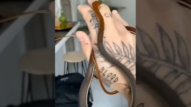 #naag #naagpanchamistatus #todaystatus #whatsappstatus #status #reel #mahakalstatus #CartoonFanclub смотреть онлайн