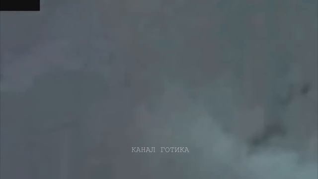 СТРАННОЕ СУЩЕСТВО вышло ИЗ ВОДЫ. 7 ЖУТКИХ МОРСКИХ СУЩЕСТВ СНЯТЫХ НА КАМЕРУ смотреть онлайн