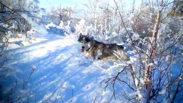 Синяя Саянтуйская в -31С. смотреть онлайн