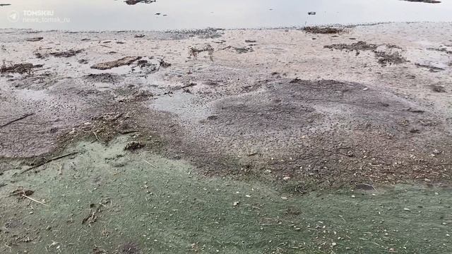 Чем пахнут ГОСы: экскурсия на городские очистные сооружения смотреть онлайн