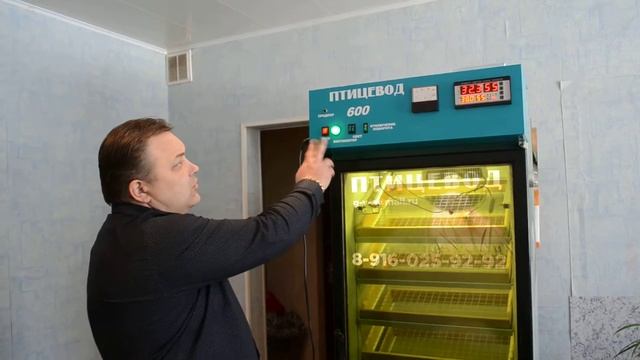 Инкубатор смотреть онлайн