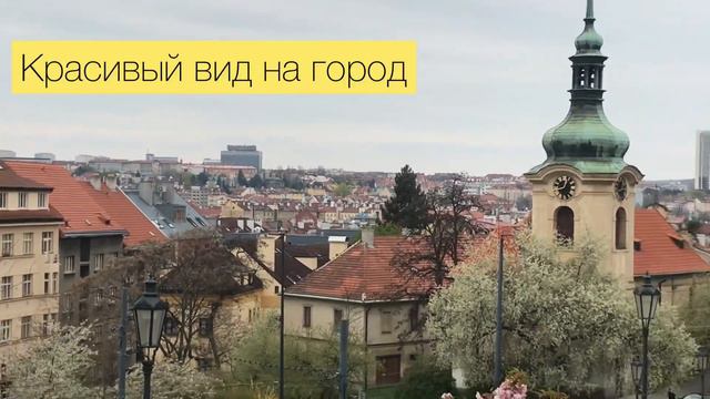 Прогулка с корги по Праге смотреть онлайн