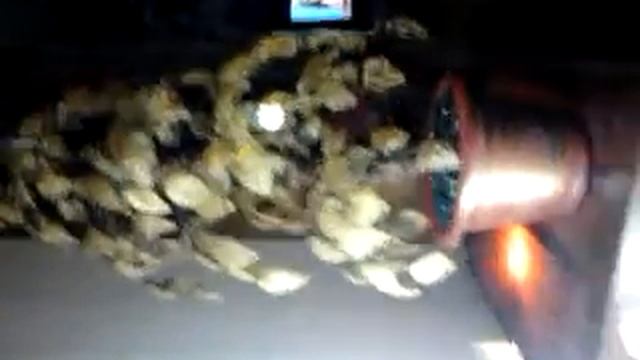 Денежное дерево из бисера а смотреть онлайн
