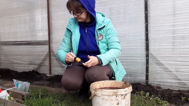 Подкормка для клубники смотреть онлайн