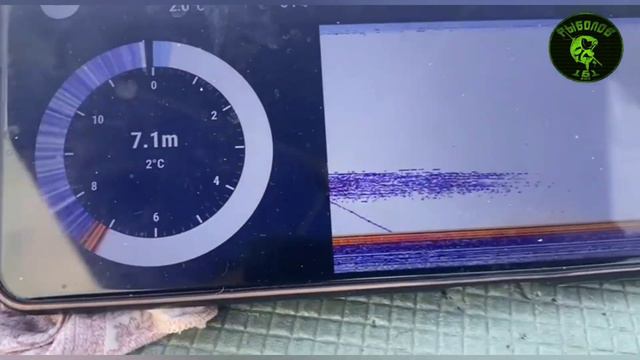 Тарань клевала как с пулемёта!!! смотреть онлайн