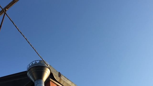Голубятник из Тольятти в гостях.15.05.19г смотреть онлайн