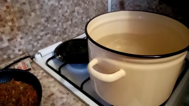 Домашние Животные и Их Уход