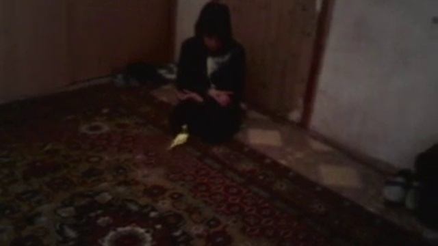 Птахи не такие трусливые! смотреть онлайн