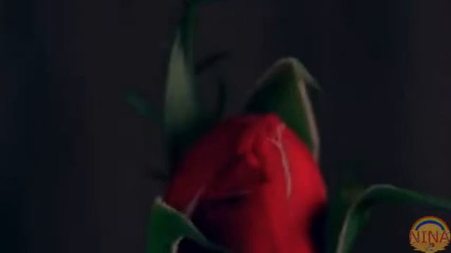 Цветочный вальс смотреть онлайн