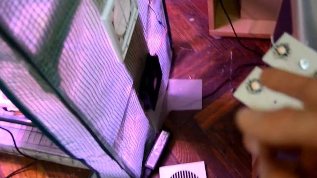 Гроубокс на прокачку. смотреть онлайн