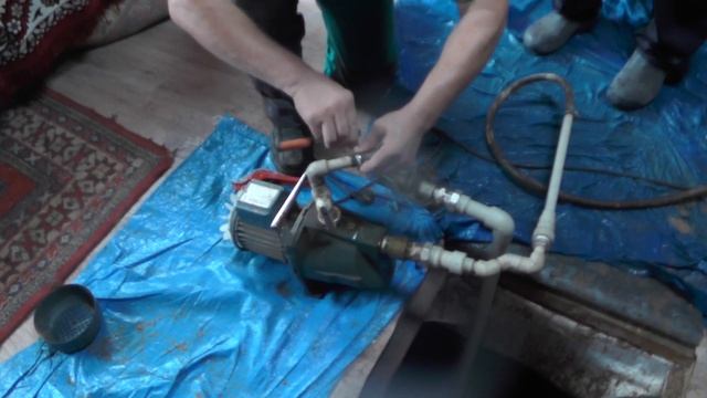 Абиссинка со слабым дебетом. смотреть онлайн