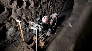 В каких условиях отбывает наказание Эль Чапо