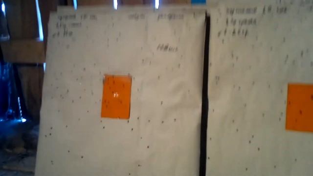 20 калибр, латунь 1,5 гр сокола на№7-26 гр, чоковое сужение! смотреть онлайн