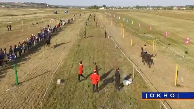 Чемпионат по рубке шашкой «Степная Казарла» в поселке Новосветловском смотреть онлайн