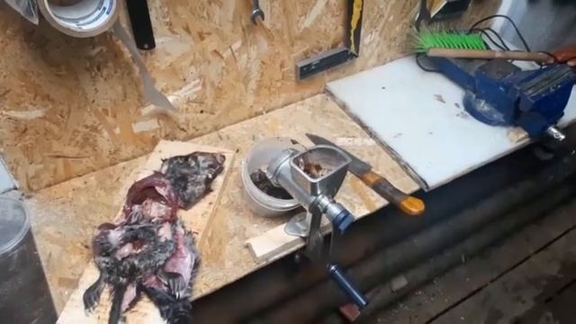 изготовление пахучих приманок для соболей. смотреть онлайн