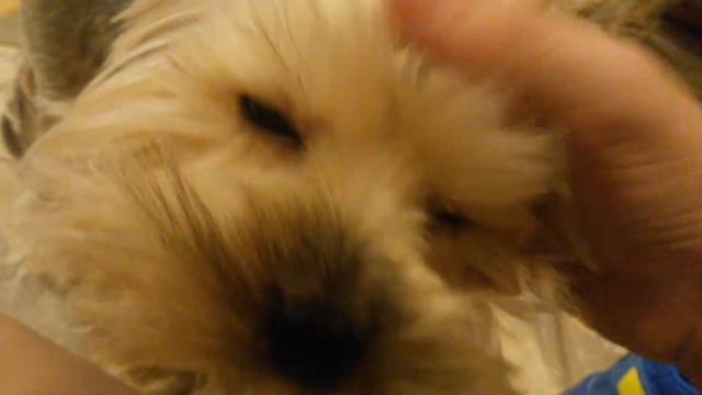 Сори.. смотреть онлайн