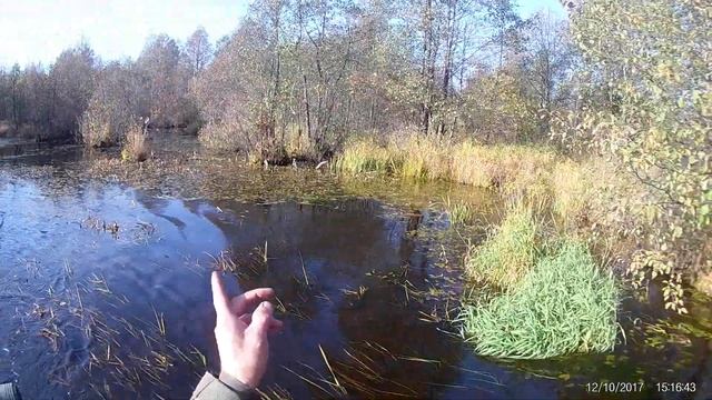Болотоход 22 л.с. река ИЖ, Удмуртия. Часть 3. смотреть онлайн