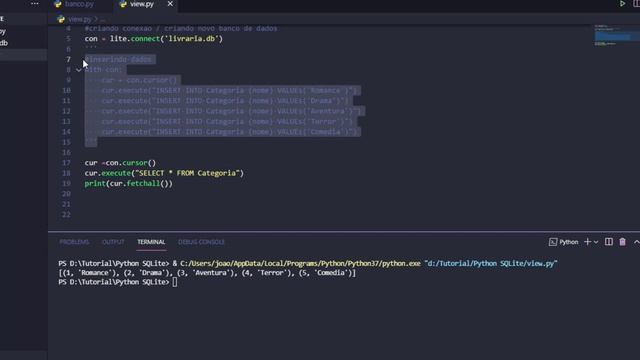 Tutorial Python com SQLite смотреть онлайн