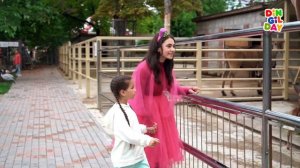 Pempe. 5 Bоlüm – Kiyik ayvanlar (Пемпе. 5 выпуск – Дикие животные)