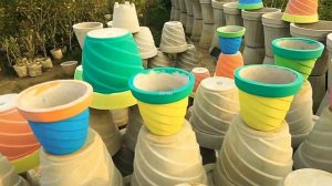 Roadside Cheapest Nursery In Noida, Delhi | Cheapest Plant Nursery | Plant Price & Name |     GoTra