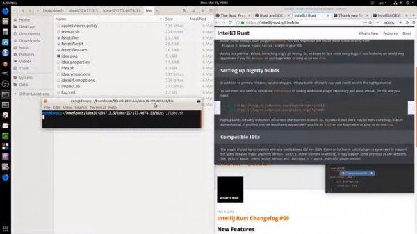 IntelliJ IDEA IDE: Install Rust | A Systems Programming Language