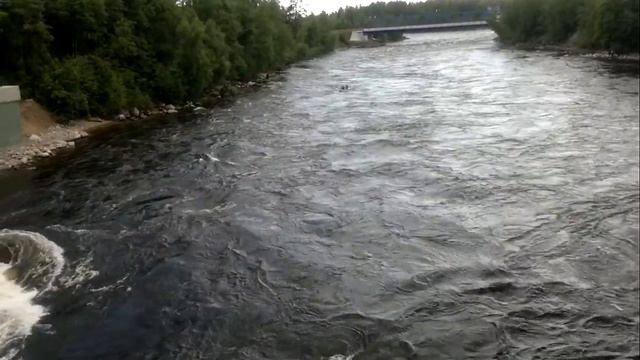 Лосево Пробуем бочку смотреть онлайн