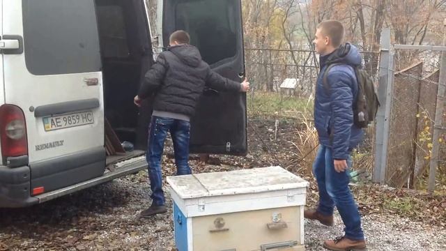 Плюсы деревянных Ульев Простое Пчеловодство 37 смотреть онлайн