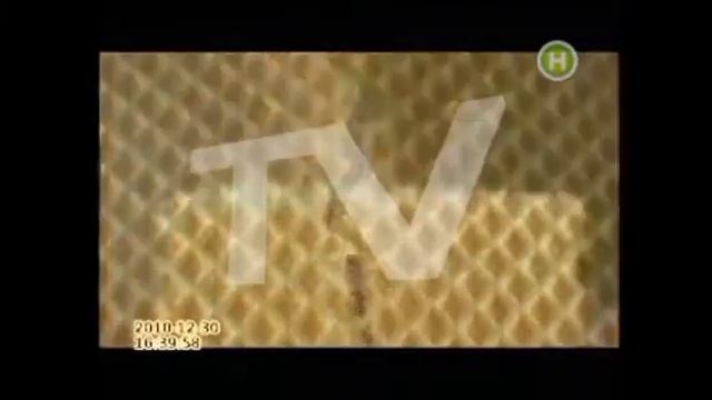 Смена логотипа на новогодний Новый Канал 19.12.2010