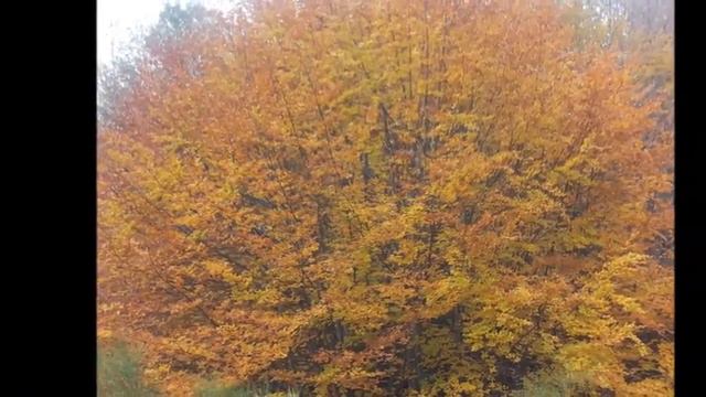 ETNA patrimonio del mondo смотреть онлайн