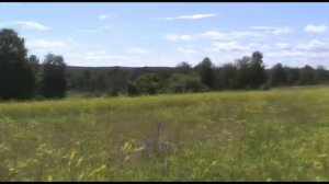 Посевные поля донника