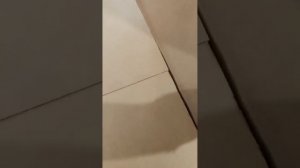 Ремонт стиральной машины Indesit    Шумит, гремит на отжиме    Замена бака