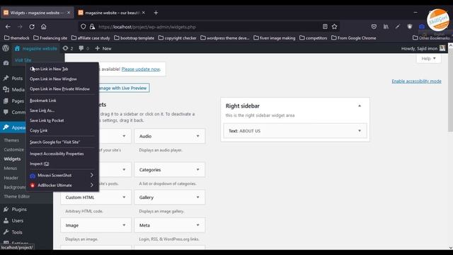 Advanced WordPress Development Bangla Tutorial in 2022 ( Sidebar dynamic ) смотреть онлайн