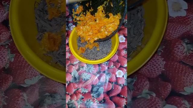 Салат из печени!?????? смотреть онлайн