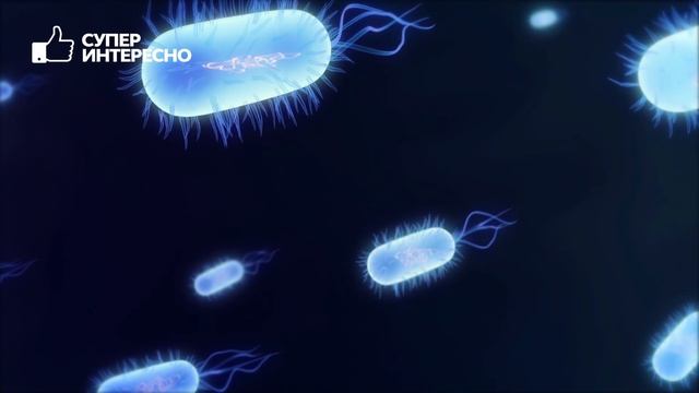 Привычка КОВЫРЯТЬСЯ В НОСУ. Правильная чистка носа! смотреть онлайн