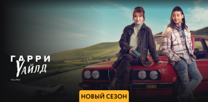 Гарри Уайлд - 2 сезон - Амедиа (2023)