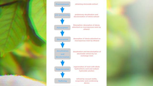 Stevia Extraction Technology And Production Process