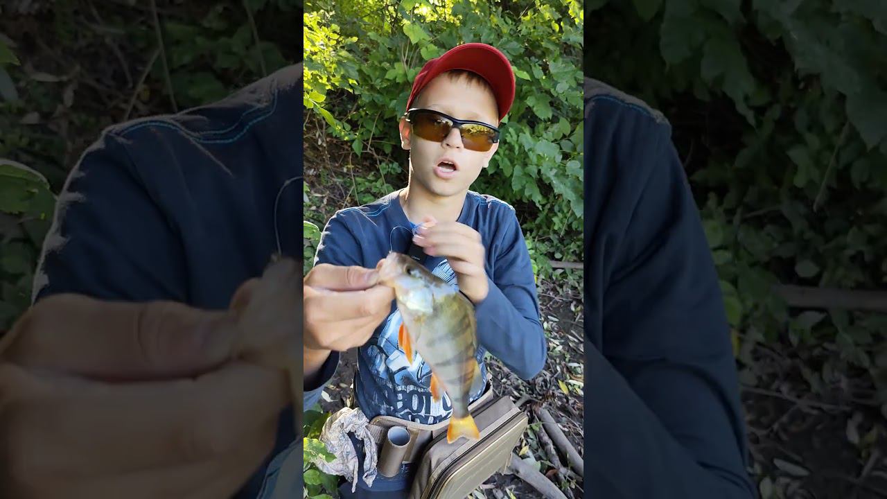 Блесна против воблера. #рыбалка #спиннинг #fishing #рыбаки #блесна #viral #рекомендации #интересно смотреть онлайн