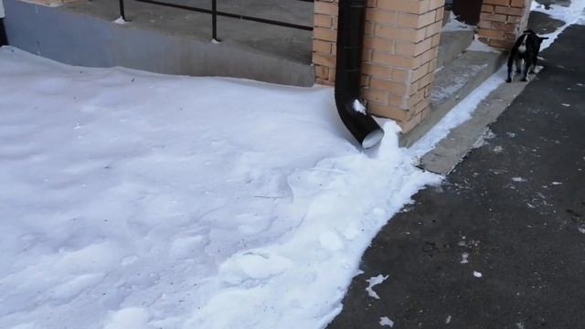 Nissan Leaf. Не оставляйте зимой на открытой местности при сильном ветре. смотреть онлайн