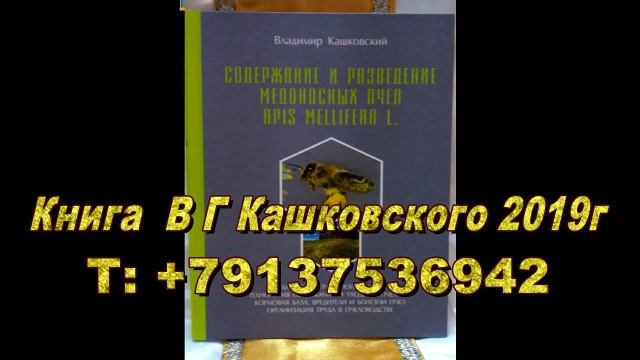 В Г Кашковский на канале Воронеж Пчеловодство 4 12 2019 смотреть онлайн