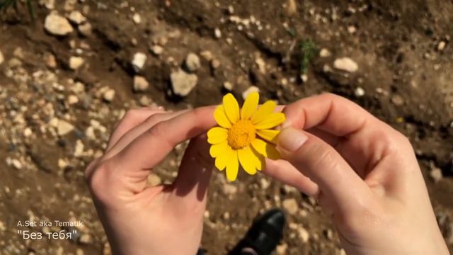 A.Set - "Без тебя" (ASM) Премьера клипа, 2021 смотреть онлайн