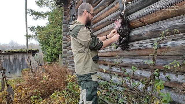Снятие шкуры с бобра смотреть онлайн