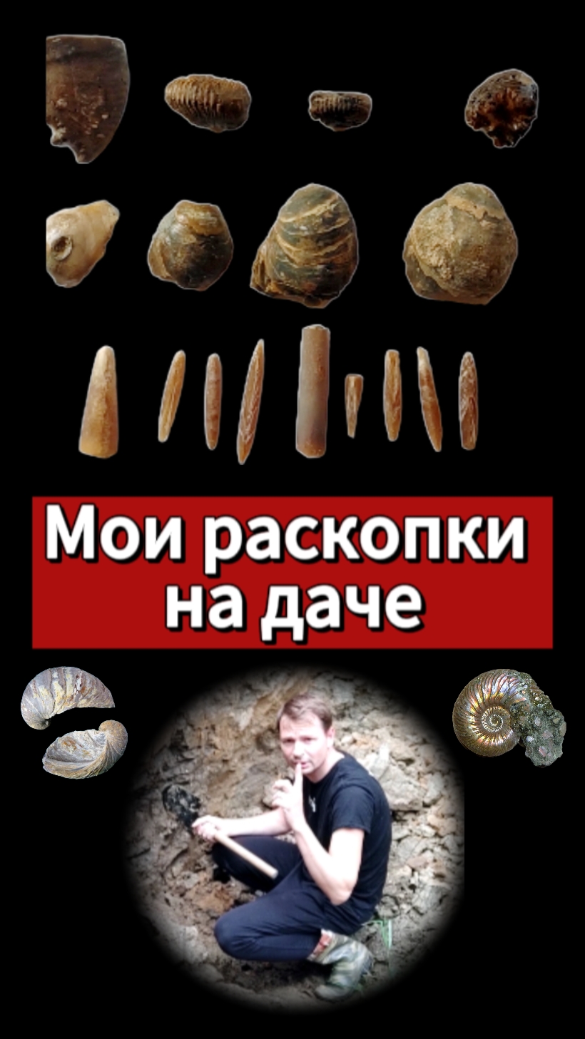 Раскопки в Подмосковье