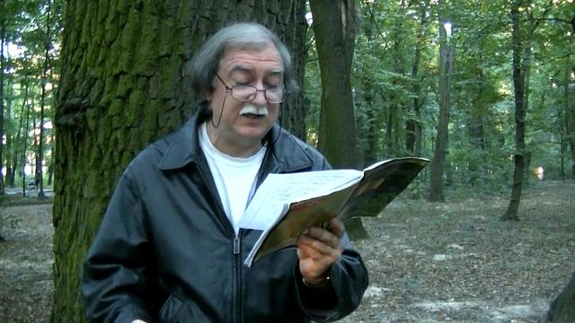 Летний сон. Поэт Игорь Морозов. 2016. смотреть онлайн