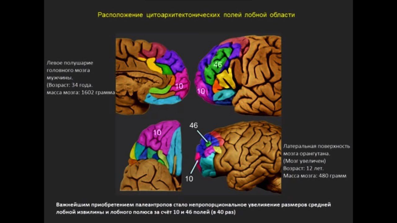 (часть друга) мысли Сергея Савельева (моя кратка подборка)