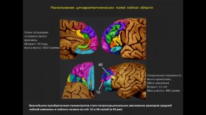 (часть друга) мысли Сергея Савельева (моя кратка подборка)